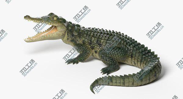 images/goods_img/20210312/Crocodile 3D/3.jpg